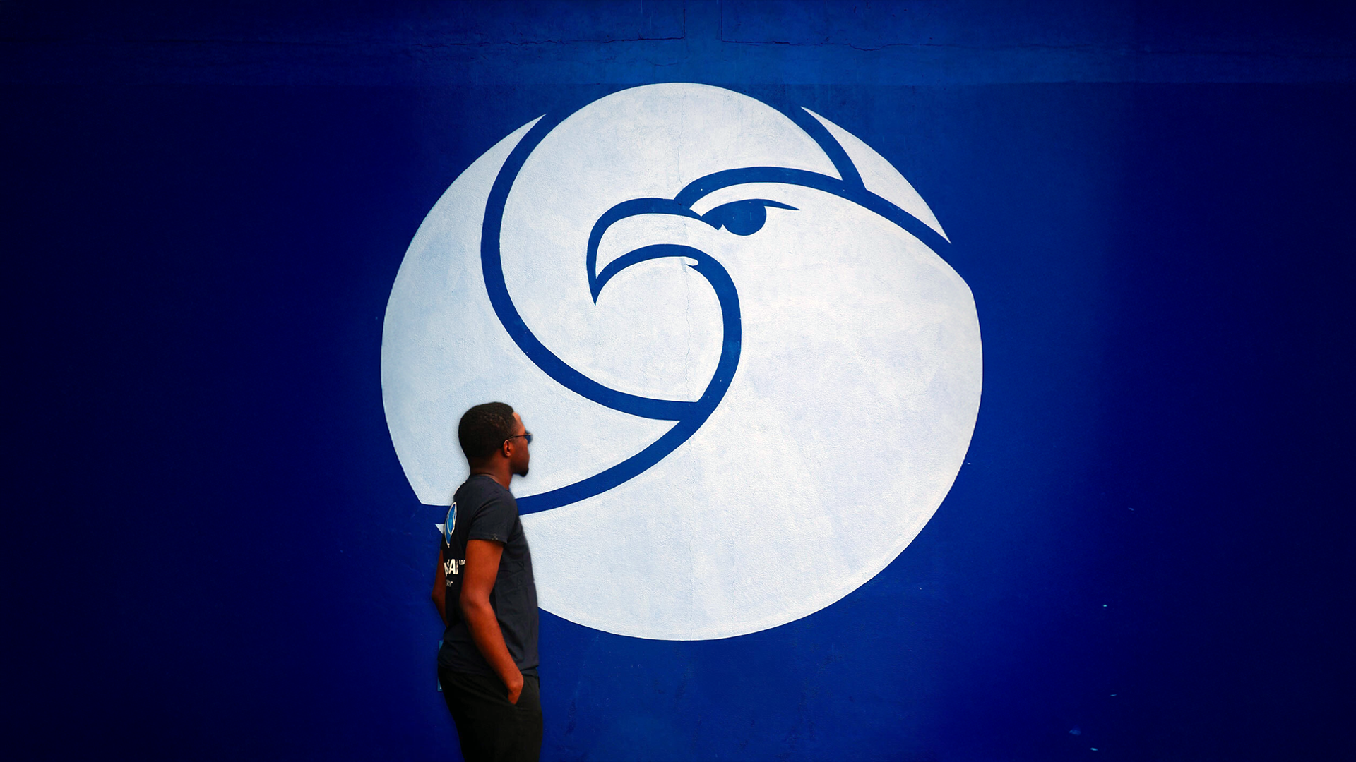 Quando uma distribuidora vira criadora de conteúdo